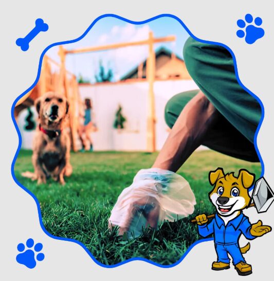 Top-Rated Dog Poop Pickup Service in USA Scoop Doggy Professional Pooper Scooper Solutions
