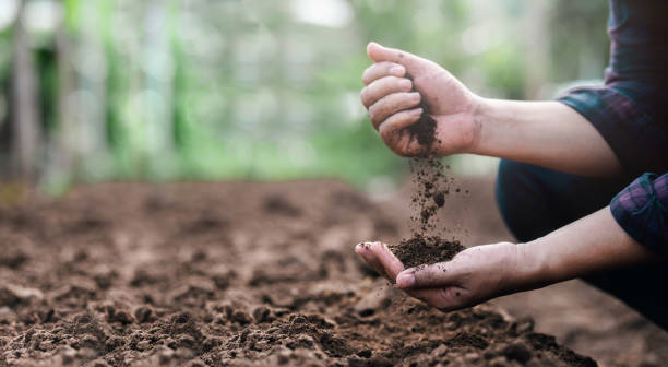 Soil treatment in Japan is becoming central to productive land protection