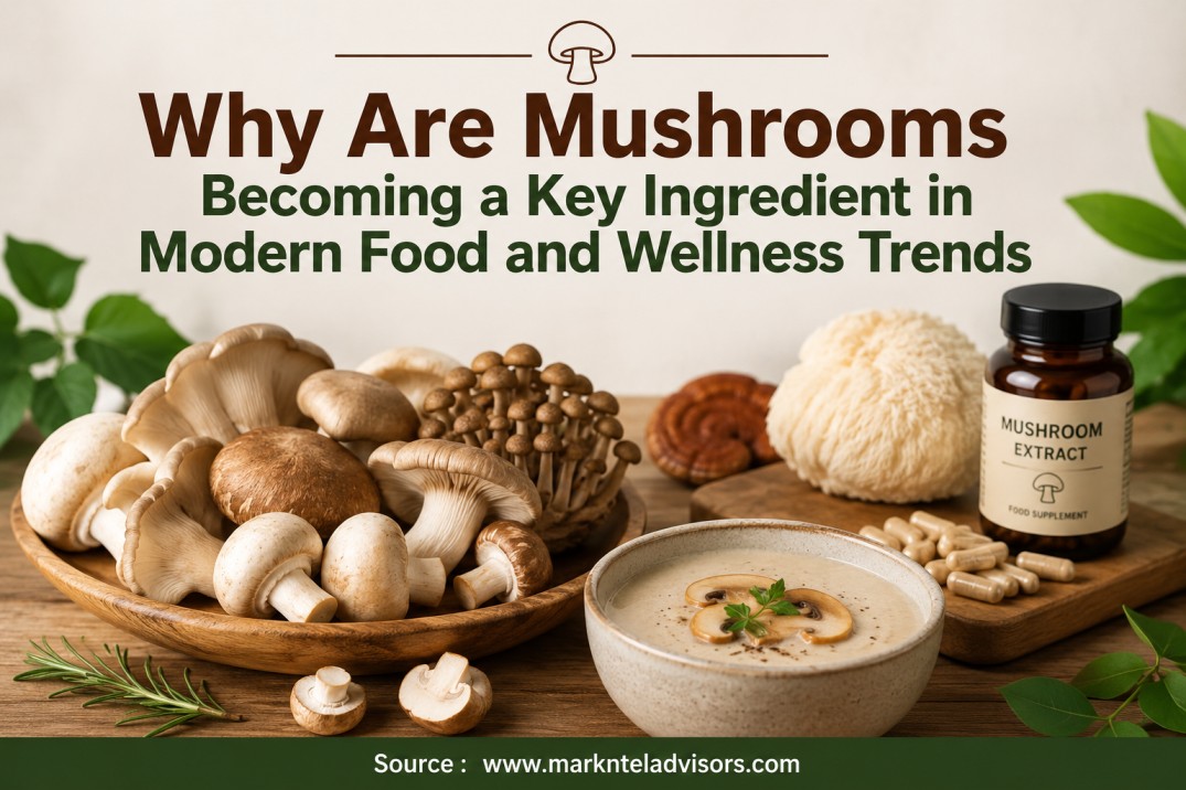 Why Are Mushrooms Becoming a Key Ingredient in Modern Food and Wellness Trends?