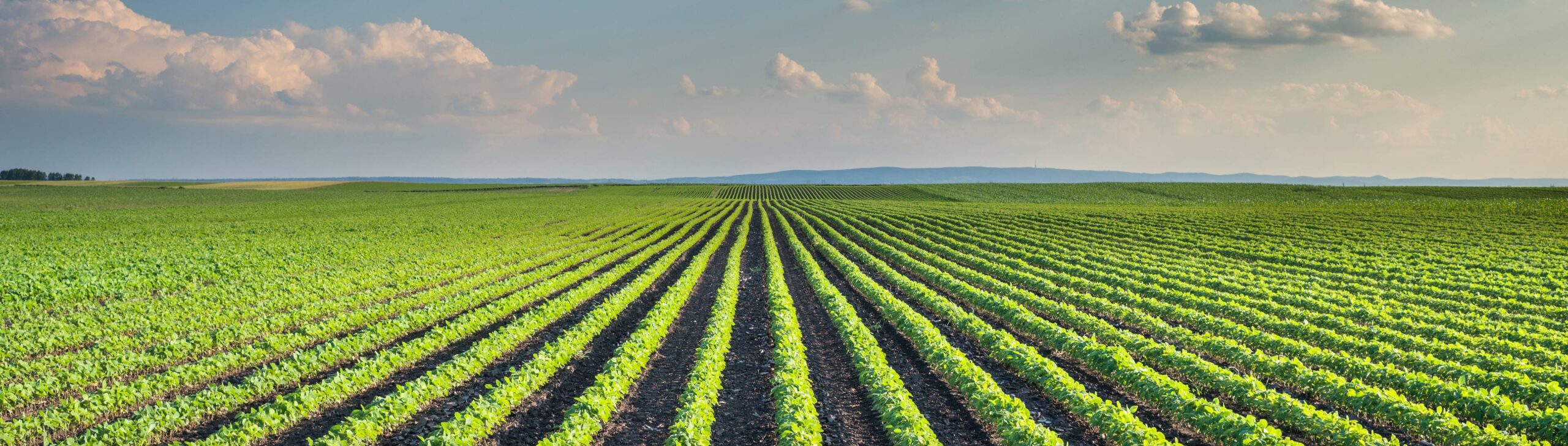 Reliable Manure Equipment Solutions for Efficient Farm Operations
