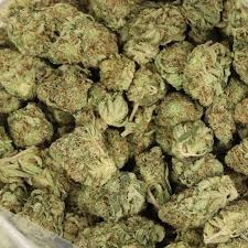 Bulk Buddy Deals for Premium Cannabis Savings