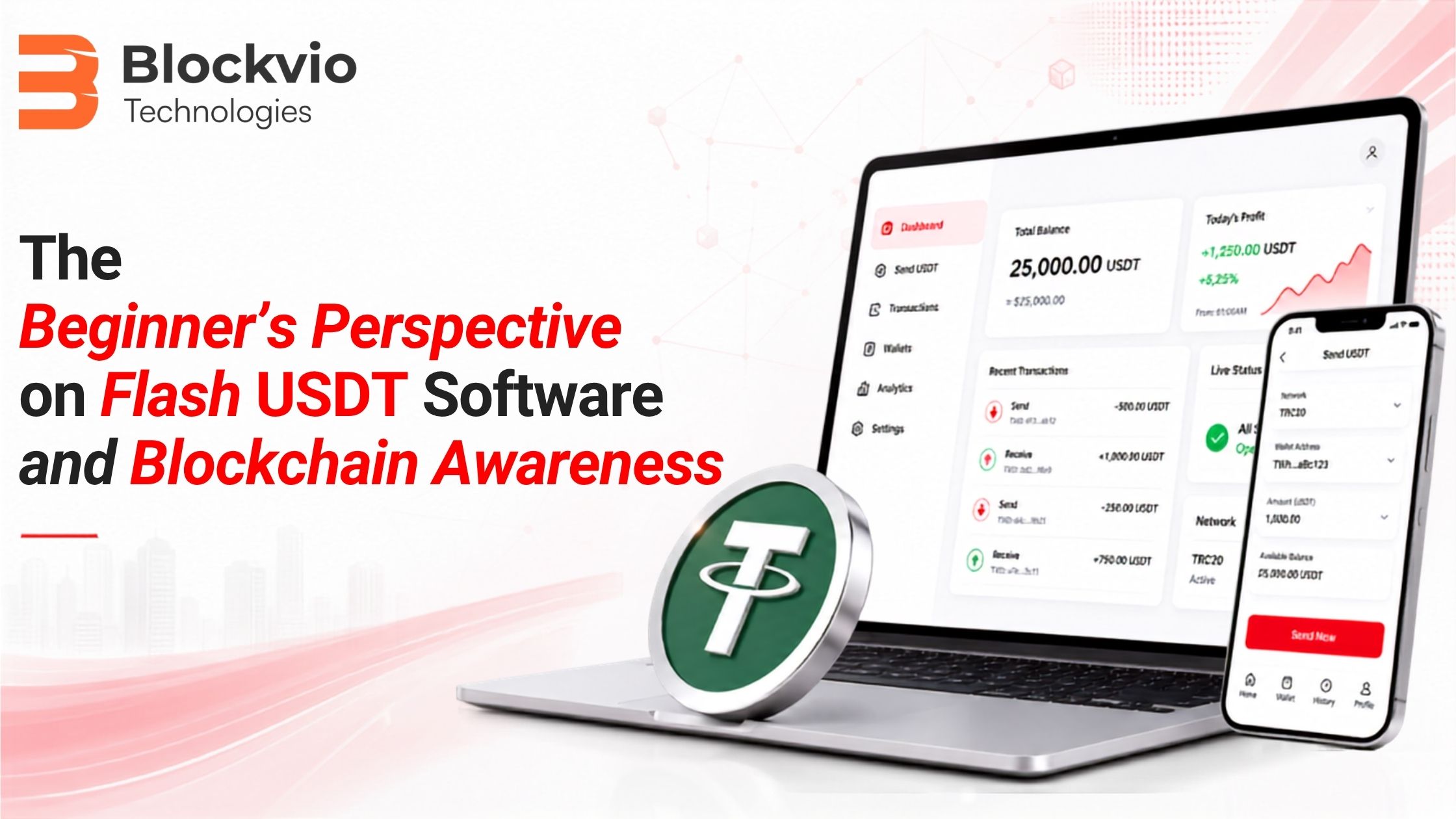 The Beginner’s Perspective on Flash USDT Software and Blockchain Awareness