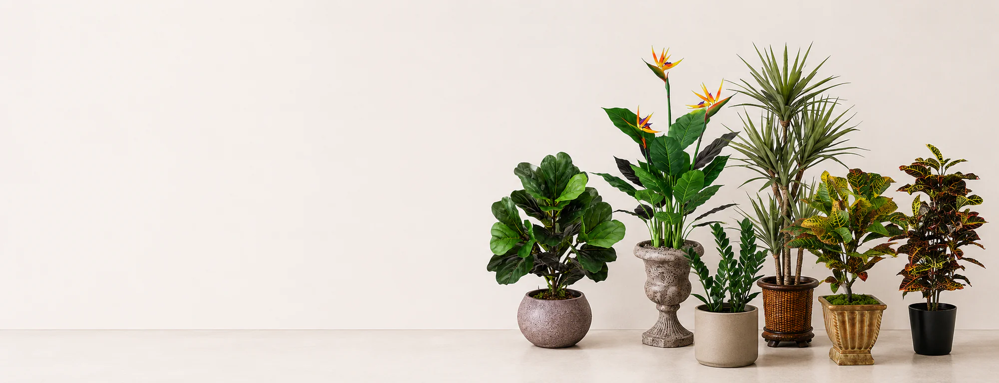 Flower Shop Brisbane City | Fresh Flowers for Every Occasion