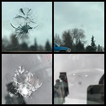 Crack in Windshield: Why Immediate Repair Can Save You Time and Money