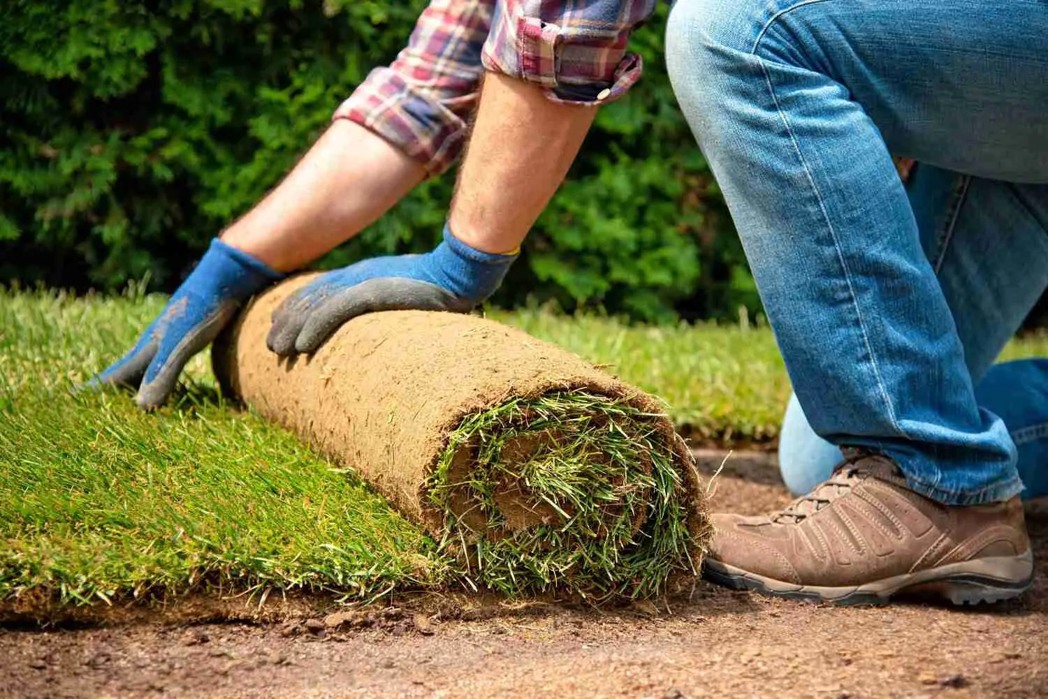 A Guide to Synthetic Turf Installation and Supply Services in Sydney