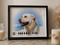 Pet Memorial Website Australia – Create a Lasting Online Tribute