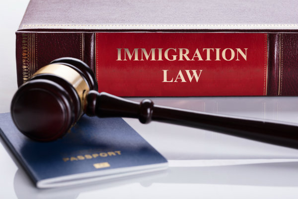 Navigating Immigration Timelines: What to Expect from Delays in Miami