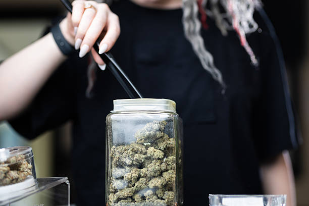 Innovative Concepts for Local Dispensary Expansion