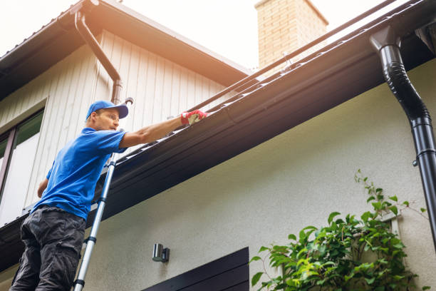 Expert Insights Exterior Cleaning Industry Development