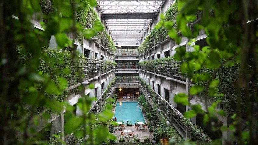 Cuánto Cuesta un Jardín Vertical? Factores que Influyen en la Inversión y su Valor a Largo Plazo