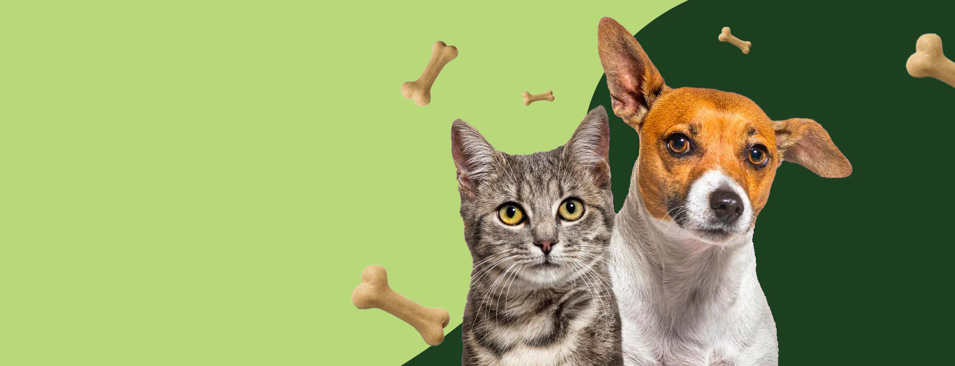 Dog Puzzle Toys: The Ultimate Pawzation Guide