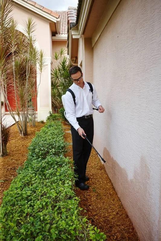 Saginaw’s Most Common Household Pests — And How the Right Pest Control Service Stops Them Cold