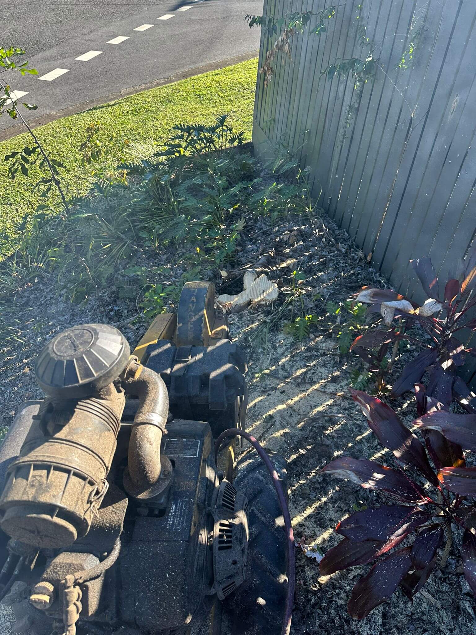 Stump Grinding Services in Brisbane | RNB Landscaping