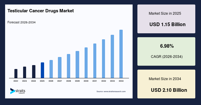 Investment Opportunities in the Testicular Cancer Drugs Market Amid Rising Treatment Innovation