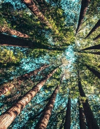 Know About Your Family Roots – Get UK Family Tree Search Support from Experts