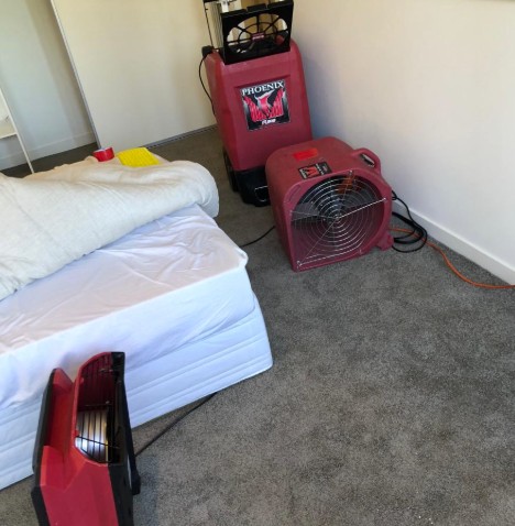 Why Hidden Water Damage Can Cost More Than You Think
