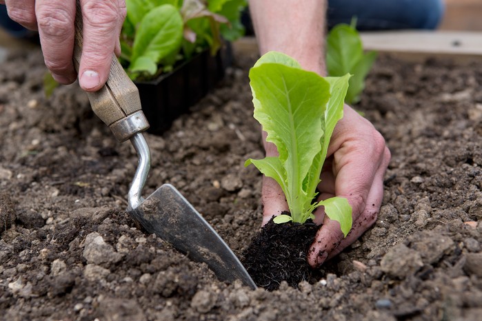 The Complete Guide To Set Up Grow Tents For Any Space Budget
