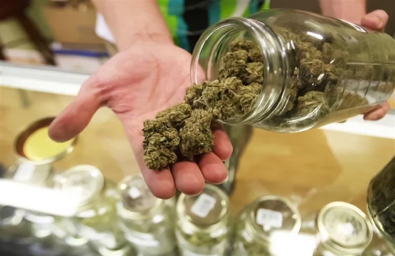 Important Things to Know Before Buying Cannabis