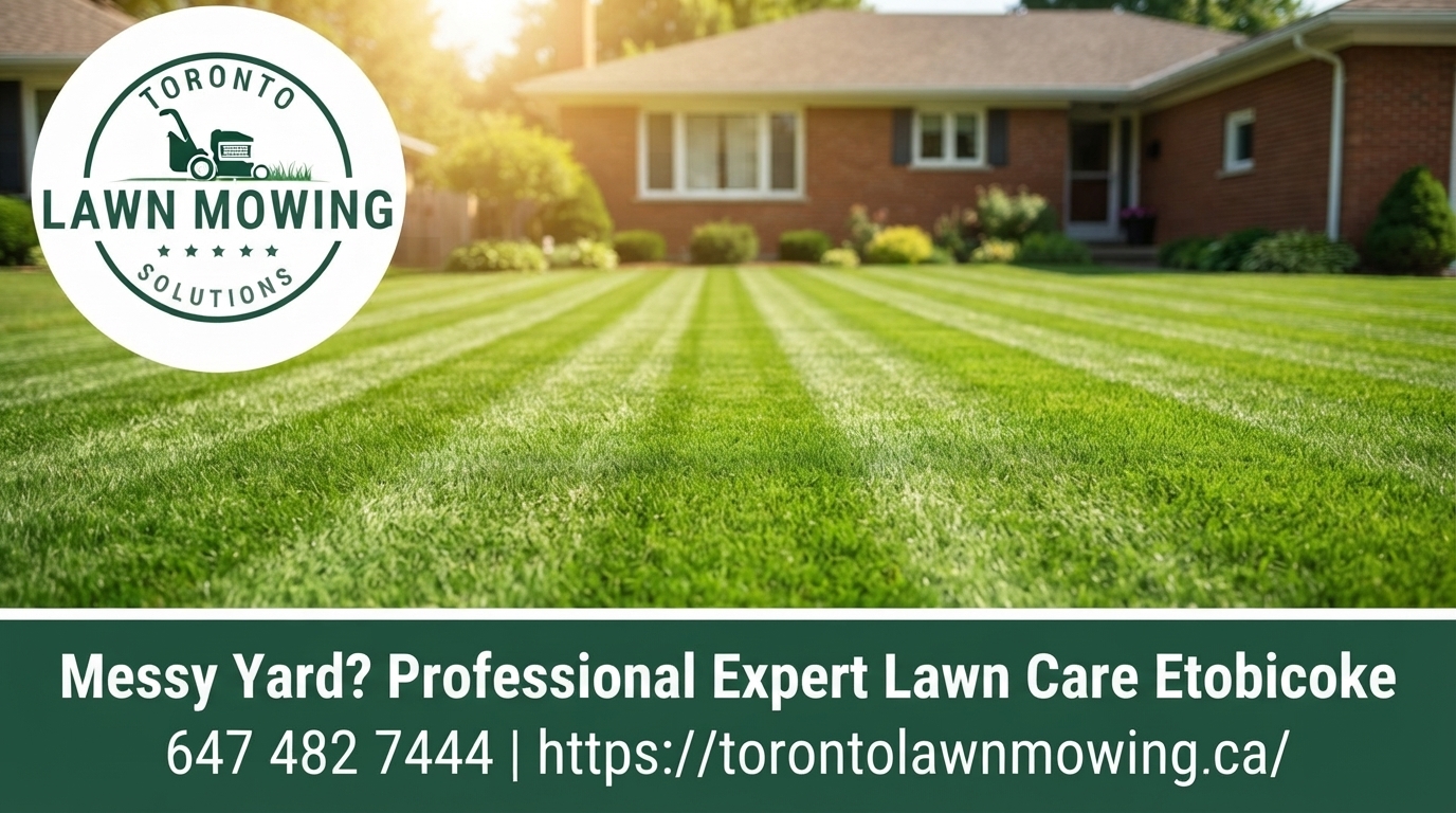 Messy Yard? Professional Expert Lawn Care Etobicoke