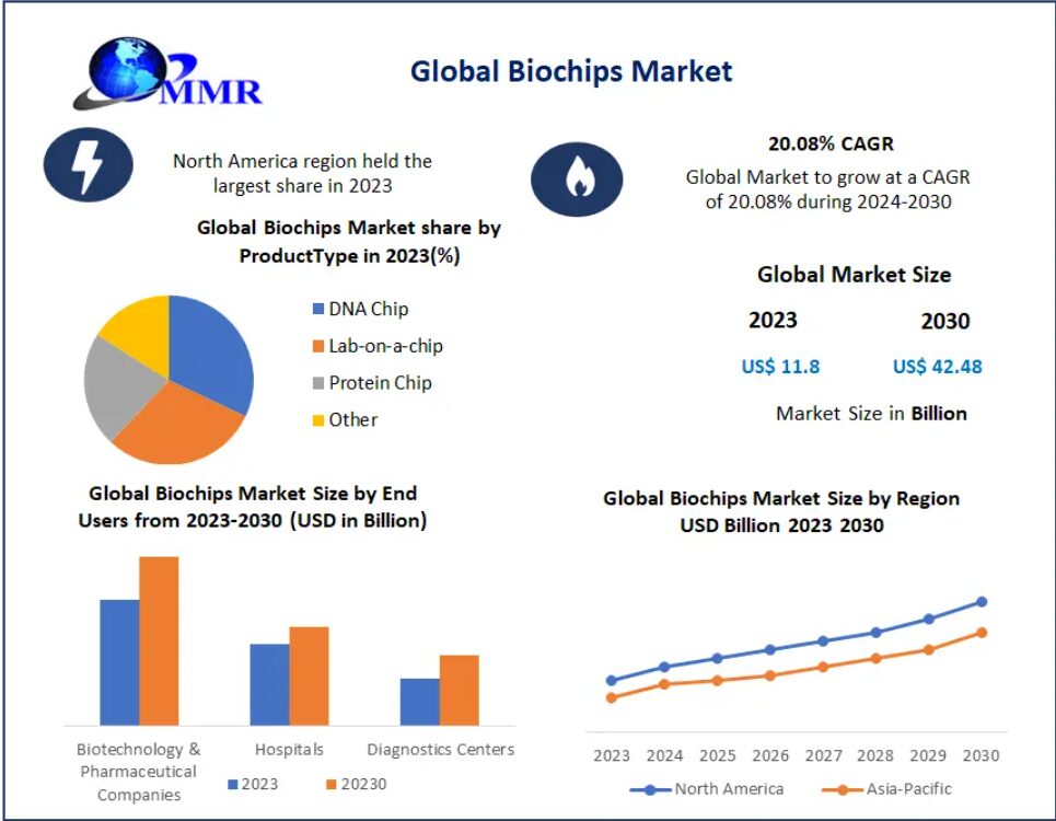 Biochips Market Accelerates with Growing Use in Drug Discovery and Development
