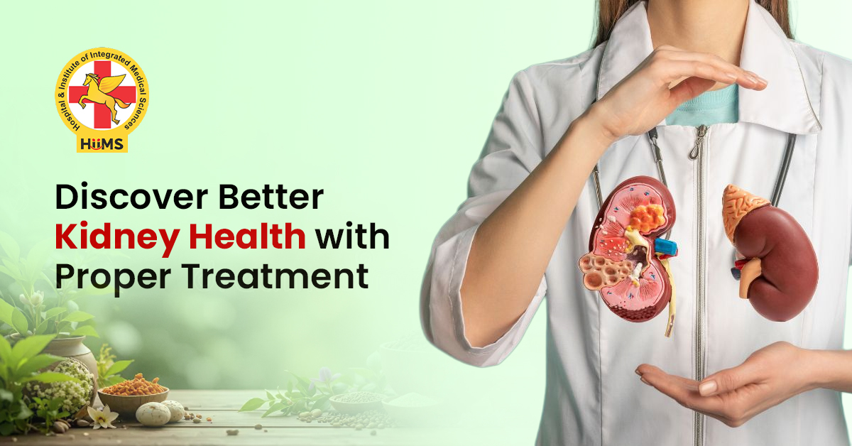 Natural Ways to Support Kidney Health for Long-Term Wellness