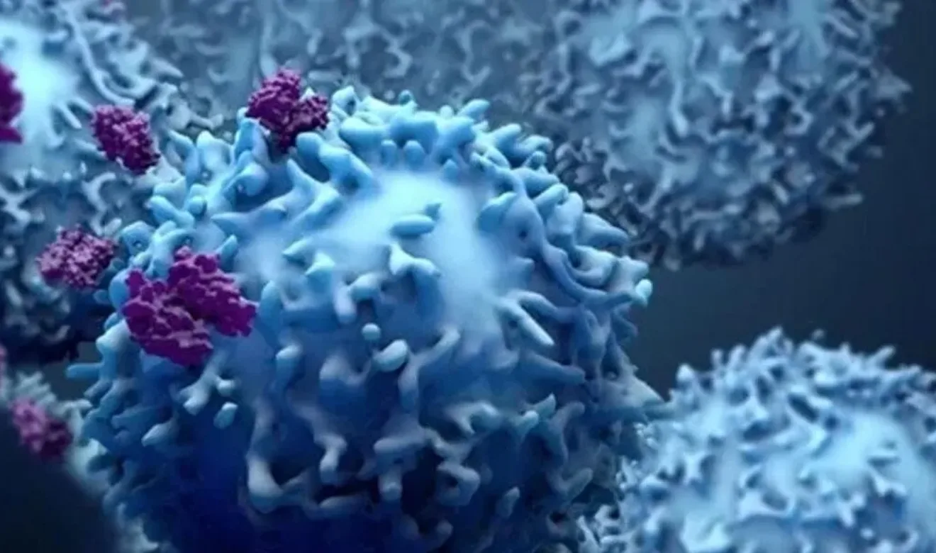 Flow Cytometry Immunophenotyping for Advanced Therapy Products