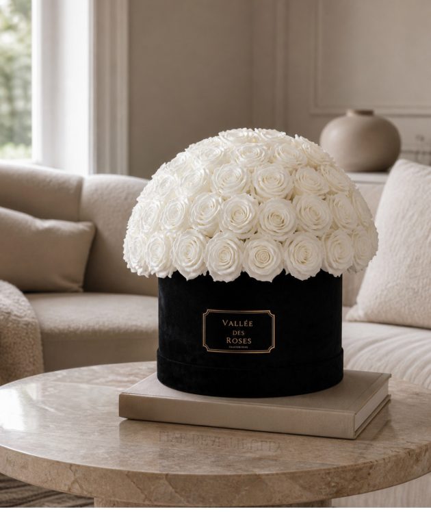 Why White and Pink Preserved Roses Never Go Out of Style