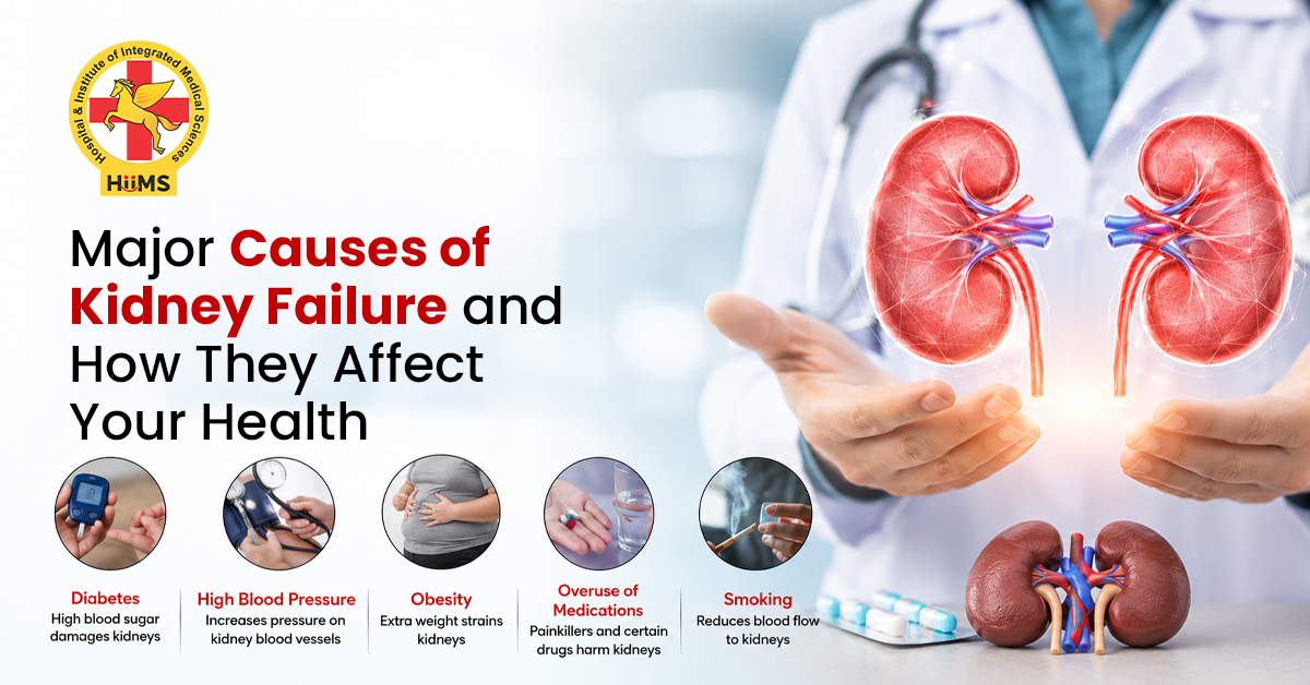Kidney Failure: Understanding the Silent Warning Signs Before It’s Too Late