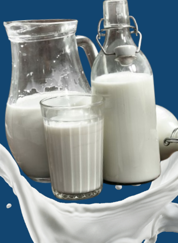 Fresh A2 Milk Dubai | Farm Fresh A2 Milk Delivery | a2milkuae