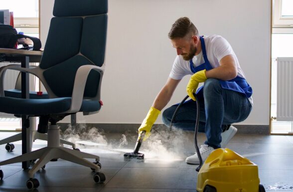 Why Professional Ant Pest Control in Darwin Is the Best Solution for Persistent Infestations
