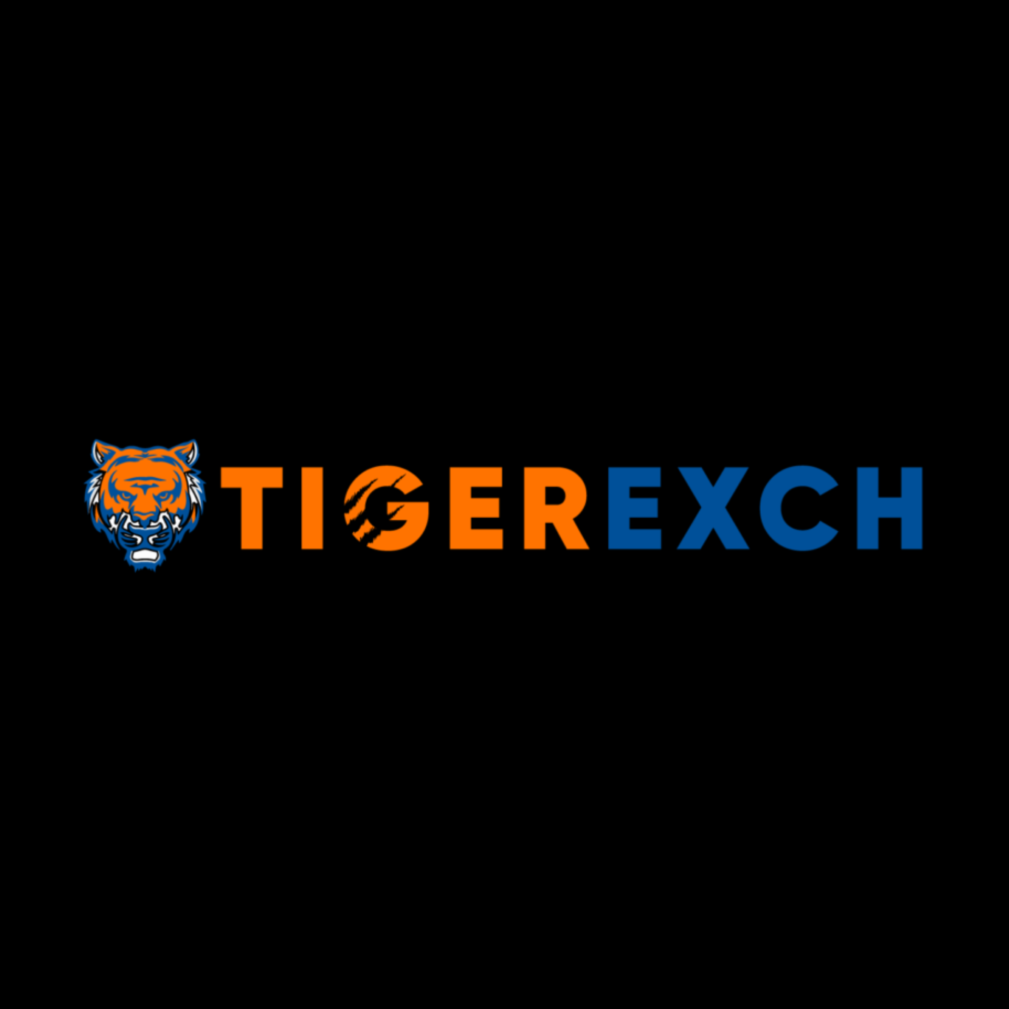 Tiger365: A Secure Platform for Online Gaming and Sports Entertainment