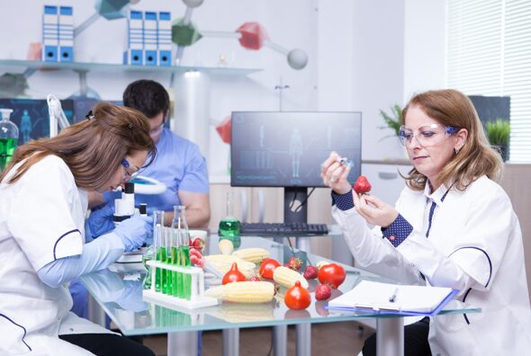 Why Food Testing Laboratories Need ISO 17025 Lead Auditor Training