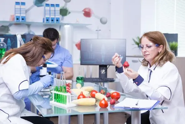 Why Food Testing Laboratories Need ISO 17025 Lead Auditor Training