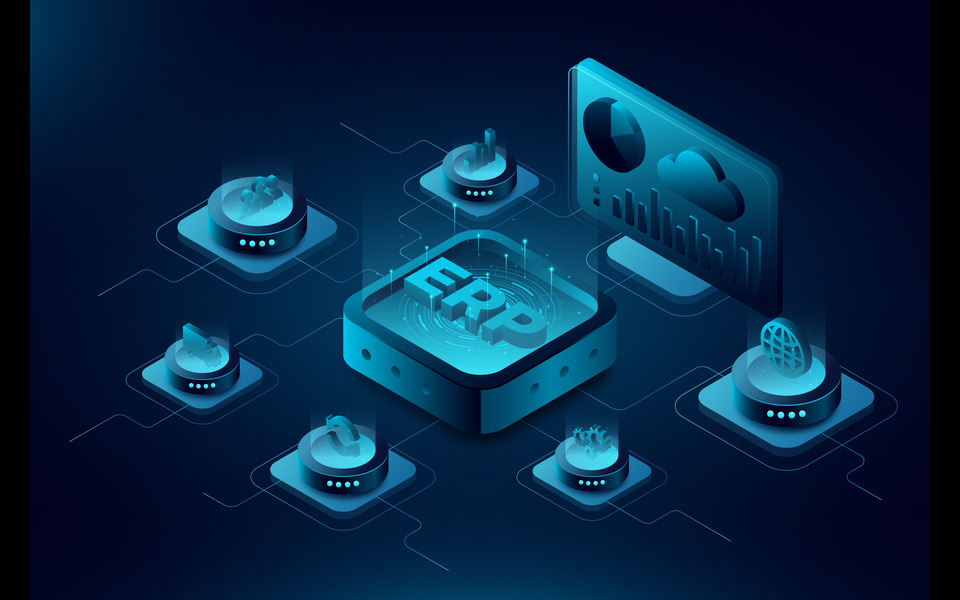 ERP Software Implementation Best Practices for Growing Enterprises