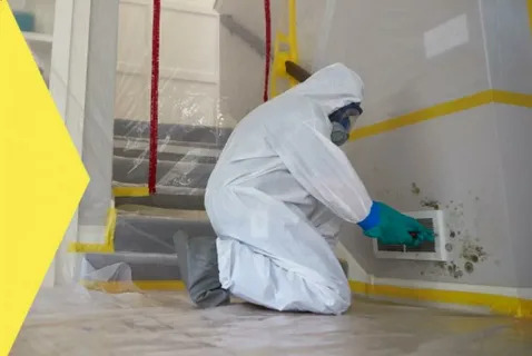 How to Find and Fix the Source of Mold Before It Spreads