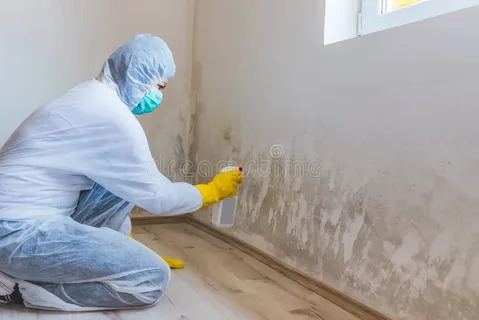 Hidden Mold Can Damage More Than Your Walls—Here’s What to Know
