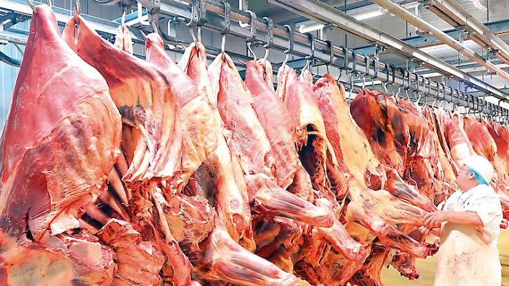 Proveedores de carne de res: cómo elegir el mejor aliado para tu negocio