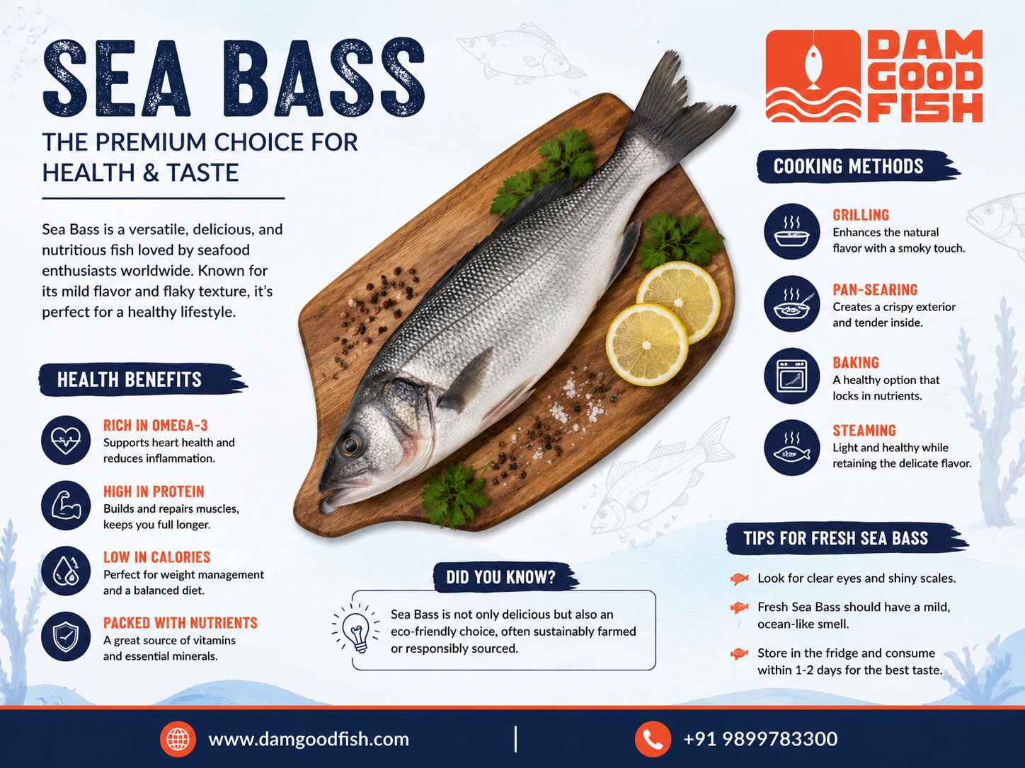 Fresh Sea Bass from Dam Good Fish | Premium Quality Seafood
