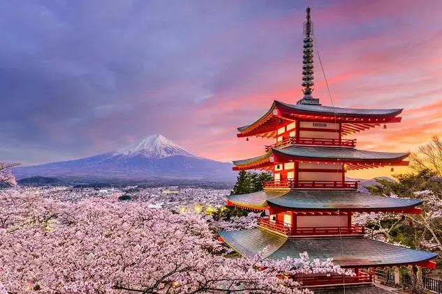 How to Choose the Best University to Study in Japan